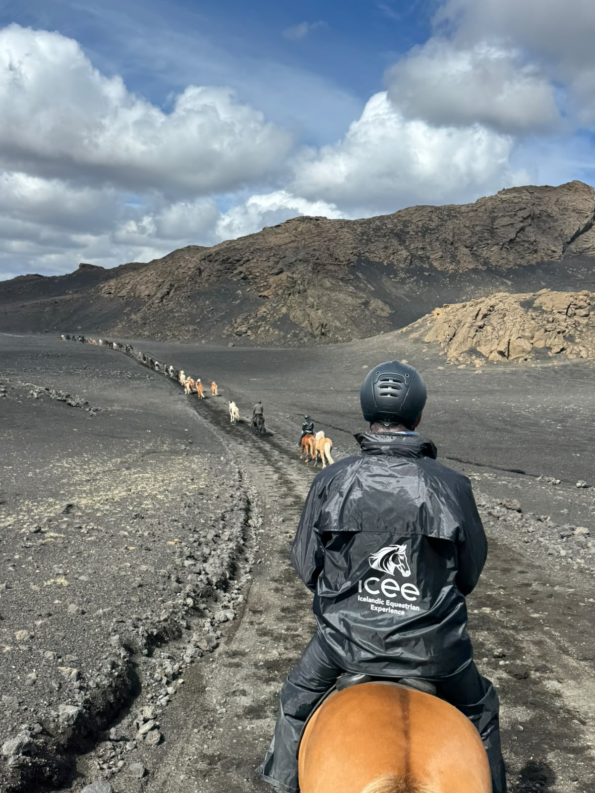 The Golden Circle Trail